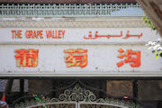 Grape Valley near Turpan 3