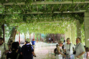 Grape Valley near Turpan 8