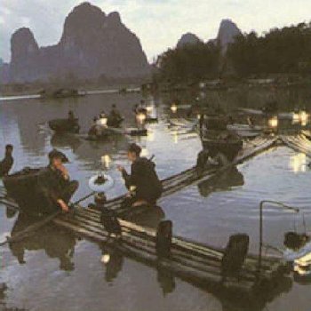Cormorant Fishing