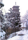 Monk Tang Pagoda on Jiuhua Hill