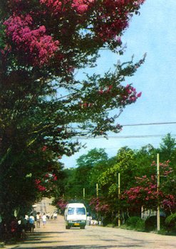 Zheng Yang Guan Road in Qingdao