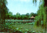 Zhongshan Park