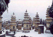 Forest of Pagodas in the Snow