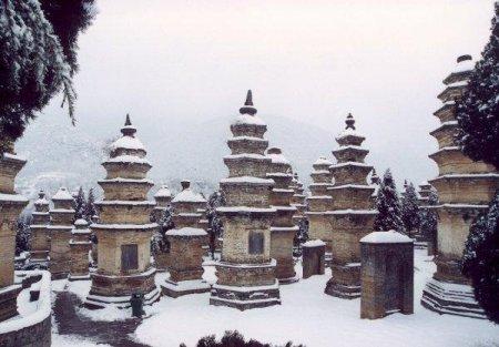 Shaolin Forest of Pagodas in the Snow
