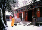 Shaolin Temple in the Snow