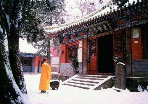 Shaolin Temple in the Snow