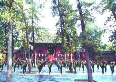 Shaolin Kungfu Show