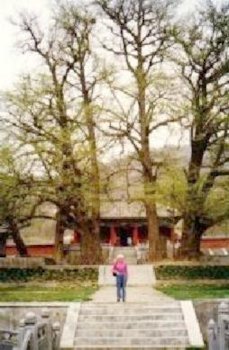 Yao Shan Temple