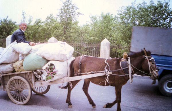 Beer Bottle Horse Cart