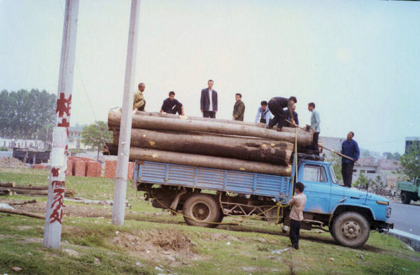 Truck Load of Lumber