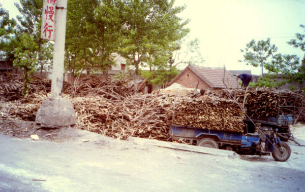 Three Wheel Tractor