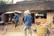 Basket Bicycle