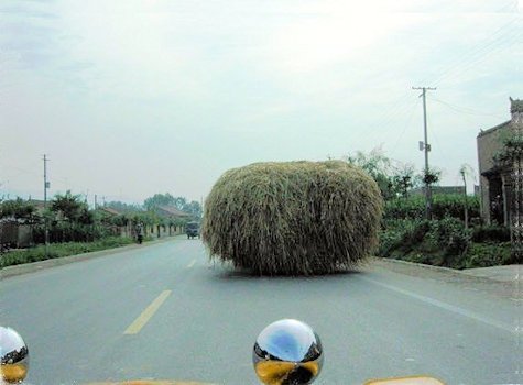 Chinese Load of Hay