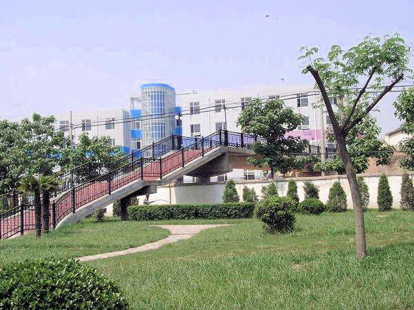 SIAS University Bridge