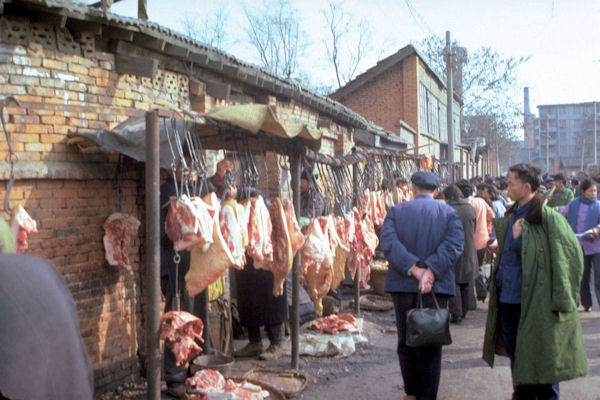 Fresh Pork Meat For Sale