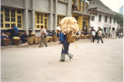 Load of Shavings 