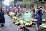 Vegetable Market