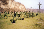 PLA Training