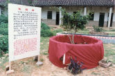 We Dedicate a Tree and Plaque