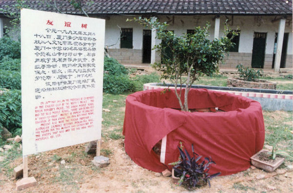 Dedicate Tree and Plaque