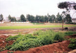 Soccer Field