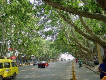 Zhengzhou, The Green City