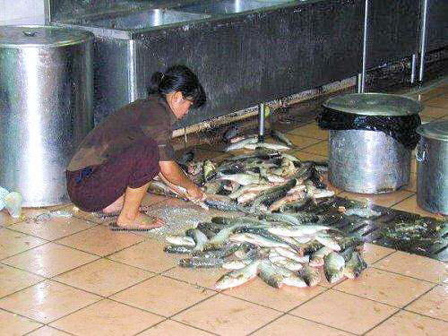 Fixing Fish for Dinner