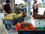 Lichees on Street