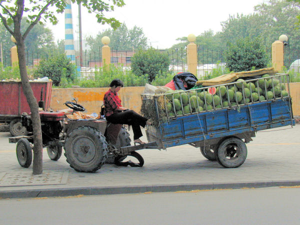 Tractor and Trailer Brings in some Watermelons