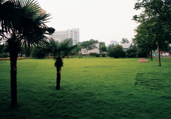 Bi Sha Gang Park