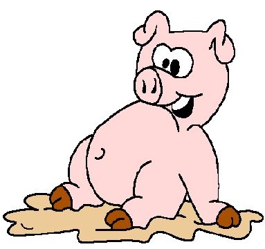 pig image