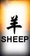 Sheep