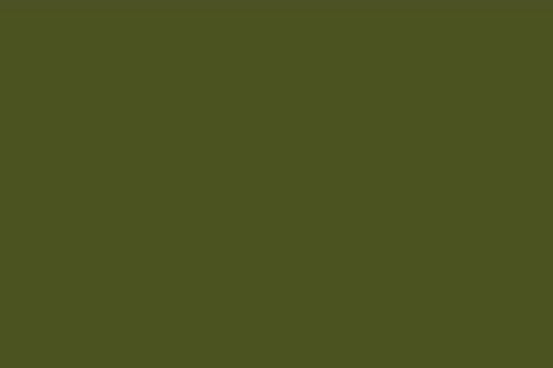 Army Green Color 