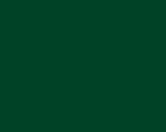 Color Number 109