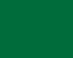 Color Number 131