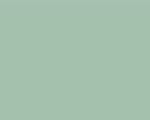 Color Number 138