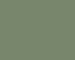 Color Number 141