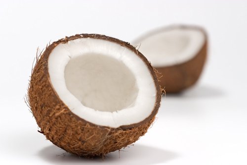 Coconut