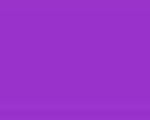 Color Number 256