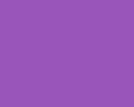 Color Number 294