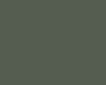 Color Number 321