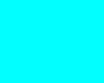 Color Number 328