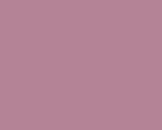 Color Number 339