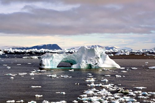 Iceberg