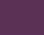 Color Number 462