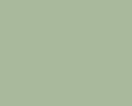 Color Number 484