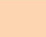 Color Number 506