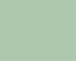 Color Number 520