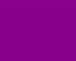 Color Number 563