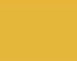 Color Number 571